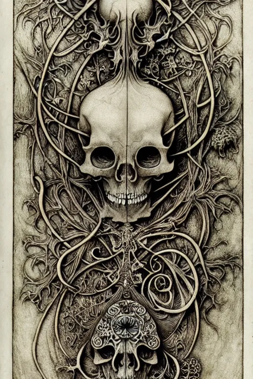 Image similar to memento mori by arthur rackham, art forms of nature by ernst haeckel, exquisitely detailed, art nouveau, gothic, ornately carved beautiful skull dominant, intricately carved antique bone, art nouveau botanicals, ornamental bone carvings, art forms of nature by ernst haeckel, horizontal symmetry, arthur rackham, ernst haeckel