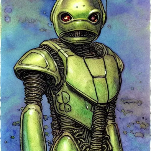 Image similar to a realistic and atmospheric watercolour fantasy character concept art portrait of a mechanized android turtle as a druidic warrior wizard looking at the camera with an intelligent gaze, very muted colors, by rebecca guay, michael kaluta, charles vess and jean moebius giraud