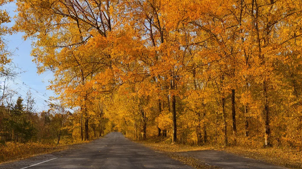 Image similar to a photograph of a country road lined on both sides by maple and poplar trees, in the autumn, red orange and yellow leaves, some leaves have fallen and are under the trees and on the road