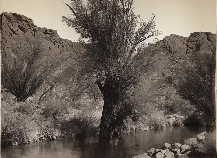 Prompt: View of the Gila river, surrounded by lush desert vegetation and rocky slopes, albumen silver print, Smithsonian American Art Museum