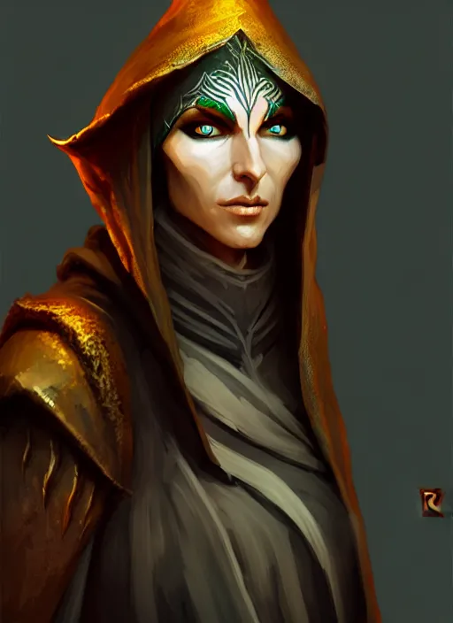 Image similar to a hooded elven mage with a surprised expression, intricate, highly detailed, digital painting, artstation, concept art, smooth, sharp focus, illustration, unreal engine 5, 8 k, art by raphael lacoste
