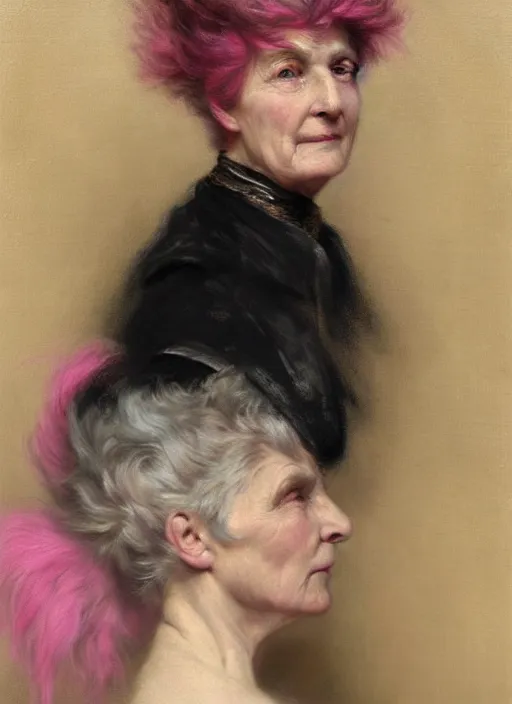 Image similar to a detailed portrait of old woman with a mohawk by edouard bisson, year, 1 9 2 0, pink hair, punk rock, oil painting, muted colours, soft lighting