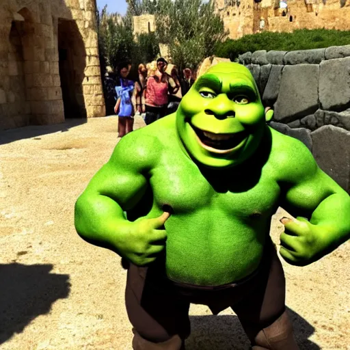 Prompt: shrek visit in israel