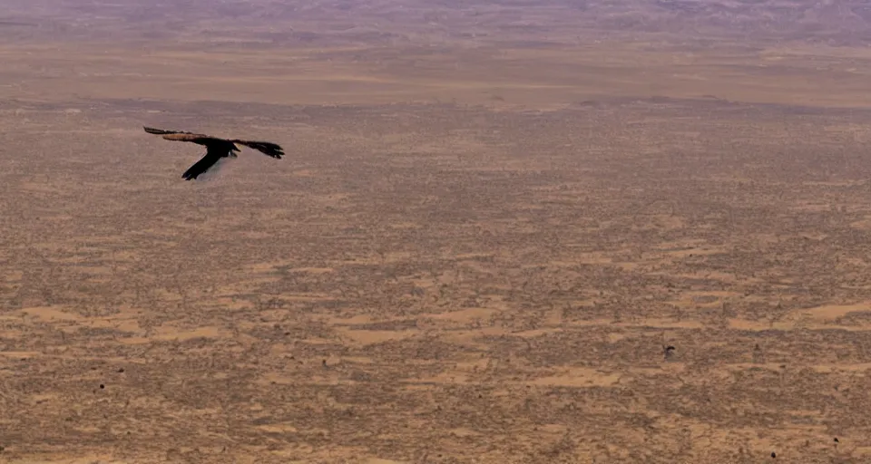 Image similar to a vulture flying over an empty desert