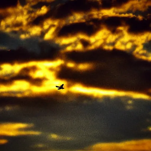 Image similar to close - up realistic shot radiant white dove flying over clouds sunset ethereal vintage photograph film grain surreal awe - inspiring