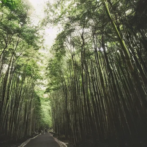 Prompt: forest in japan