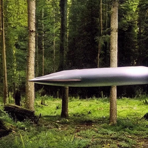 Image similar to hyper realistic spaceship in the woods, as filmed by jean - luc godard. symmetry. accurate anatomy.