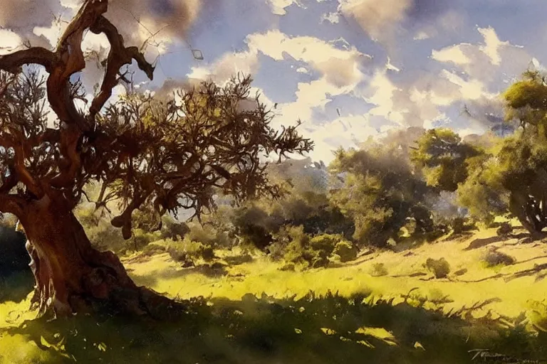 Prompt: watercolor painting of old, crooked olive tree in landscape, ambient lighting, art by hans gude, art by hans dahl, by jesper ejsing, art by anders zorn, wonderful masterpiece by greg rutkowski, cinematic light, american romanticism by greg manchess, creation by tyler edlin