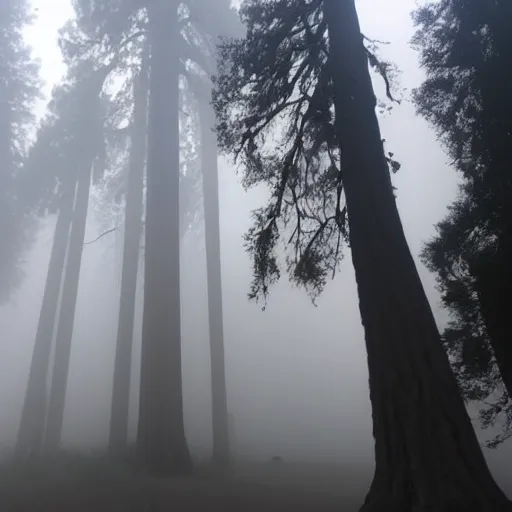 Image similar to extremely foggy sequoia forest, dense fog, huge tree trunks, white mist and fog, low visibility, spooky