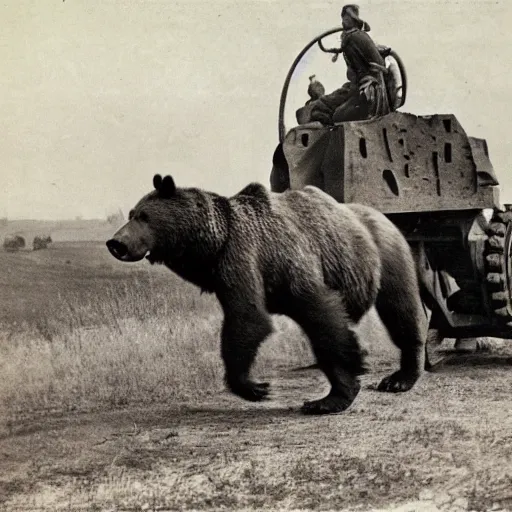 Prompt: a picture of a enormous bear pulling a towed artillery piece behind him like a horse, eastern front, historical picture