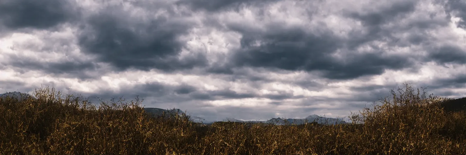 Prompt: most beautiful landscape of vanilla sky soft clouds, hyperrealistic, nature photograph, national geographic, 35mm, sharp focus, sigma lens