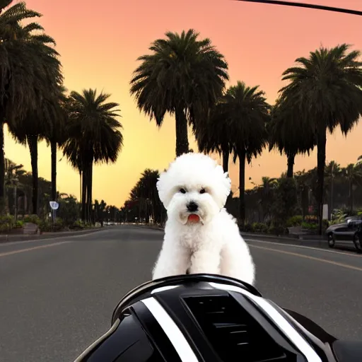 Image similar to a photorealistic image of a smiling white bichon frise puppy dog riding a black motorcycle in Hollywood at sundown. Palm trees in the background. Paws on handlebars. This 4K HD image is Trending on Artstation, featured on Behance, well-rendered, extra crisp, features intricate detail and the style of Unreal Engine.