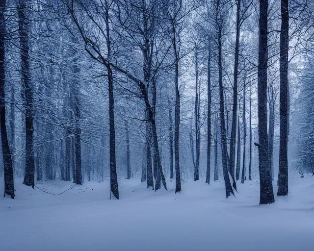 Prompt: a forest filled with lots of snow covered trees at dark blue night, a matte painting by konstantinas ciurlionis, featured on unsplash, tonalism, photo taken with ektachrome, high dynamic range, photo taken with provia