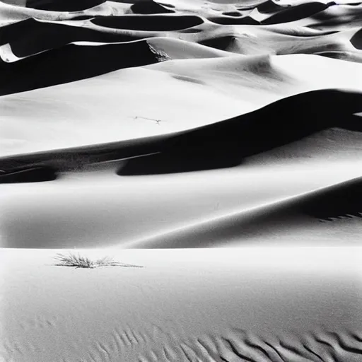 Prompt: A photograph of sand dunes by Ansel Adams