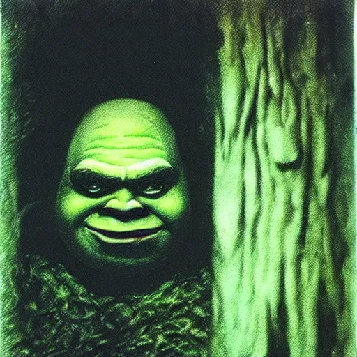 Prompt: old polaroid photo of creepy shrek staring from the depths of the dark gloomy forest, art by beksinski, bernie wrightson, john carpenter, creepy pasta, photorealistic, grainy, found footage, old film, low quality, horror, creepy, unsettling, terrifying