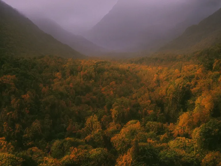 Image similar to 35mm film still magic morning light over mountains, autum, mist in valley, tropical forest, moody, by Alex grey