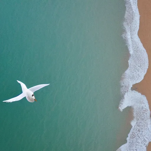 Image similar to simmetrical photo of a seagull flying seen exactly from above. Watching down. Seagull seen from above. 4k still award winning. Pleasant look and colors. Sea on the background.