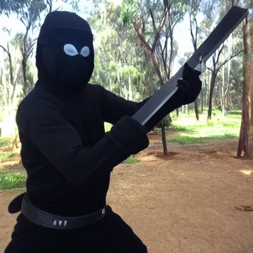 Image similar to koala as ninja noob saibot