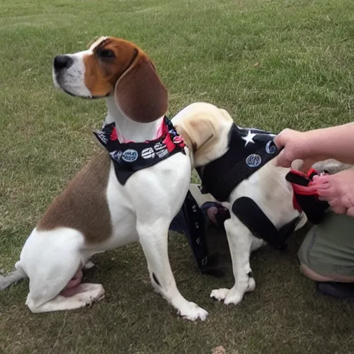 Image similar to beagles getting shot by a trump supporter