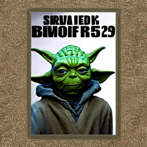 Image similar to yoda mugshot