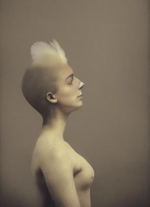 Image similar to a woman's face in profile, made of elaborate swan feathers, in the style of the Dutch masters and Gregory Crewdson, dark and moody