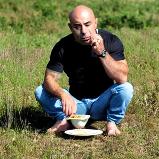 Image similar to joe rogan eating sushi on a sunny day in a field