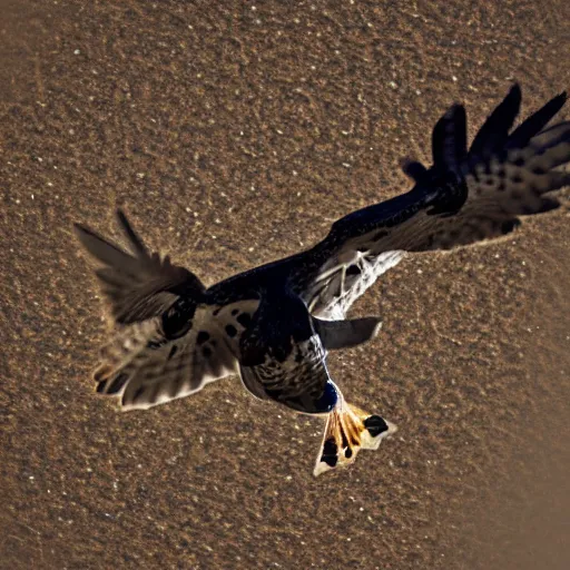 Image similar to falcon with the face of a frog flying in the sky with clouds