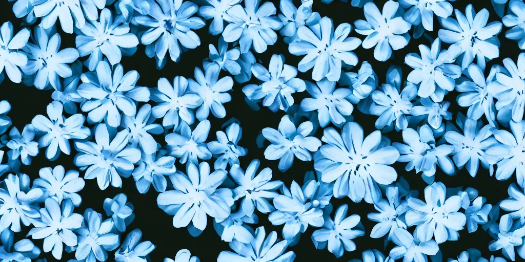 Image similar to minimalistic wallpaper of light blue flowers, matte painting