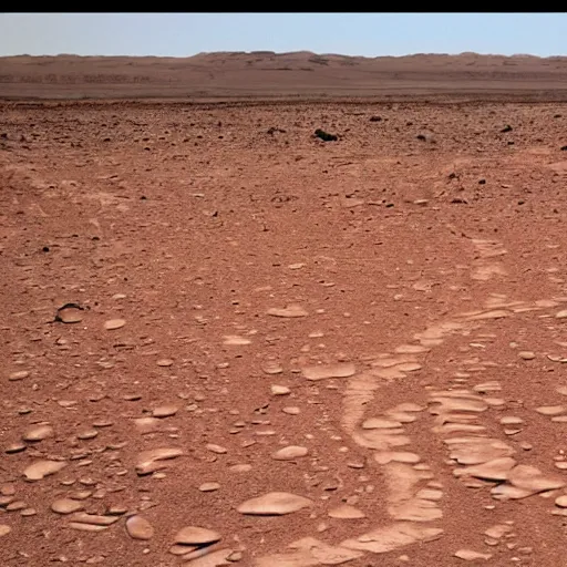 Image similar to life on mars