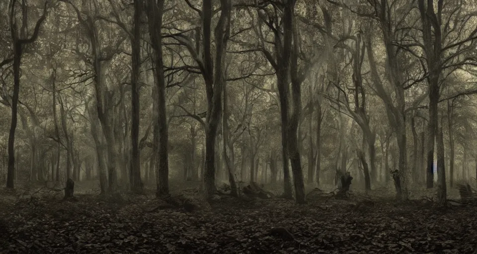 Image similar to A dense and dark enchanted forest with a swamp, by gregory crewdson