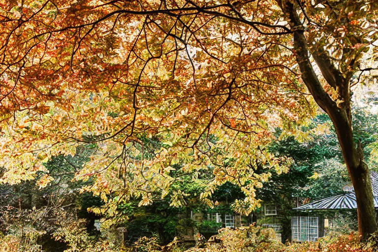 Image similar to fuji 5 0 r 3 5 mm, architectural studio magazine photography, autumn leaves, soft light
