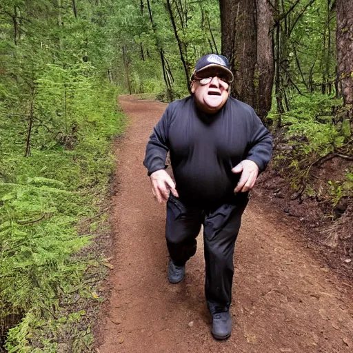 Image similar to danny devito trailcam footage