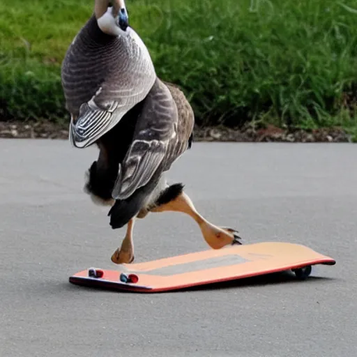 Image similar to goose skateboarding