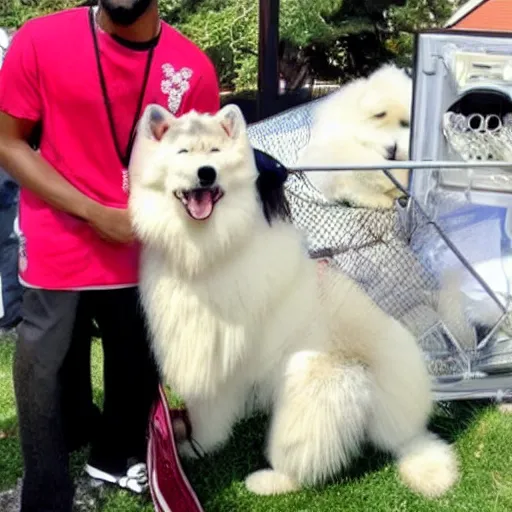 Image similar to samoyed with snoop dogg