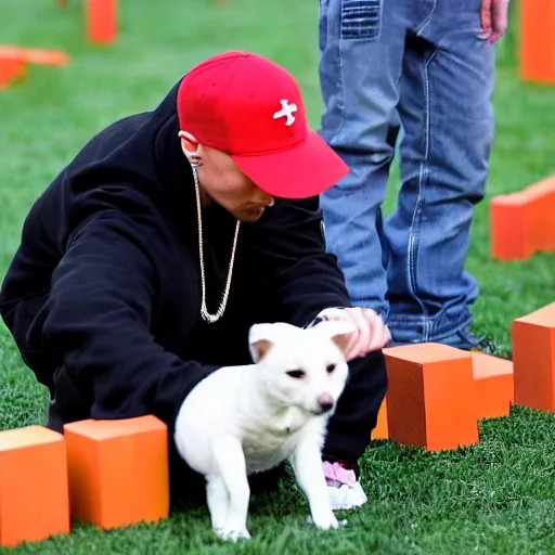 Prompt: Eminem with a dog plays with wooden blocks at Central Park