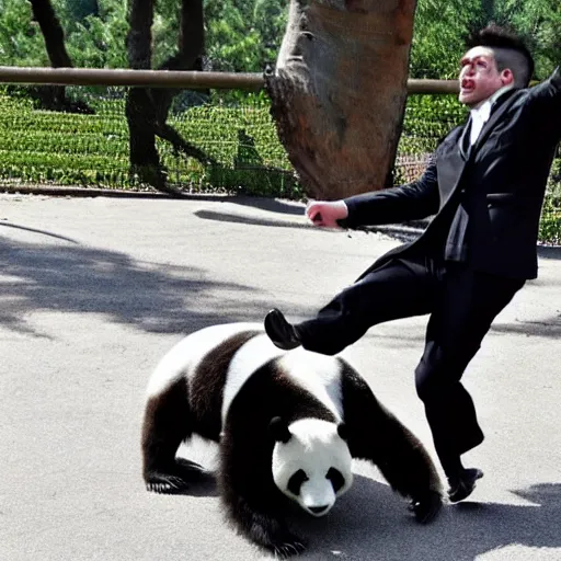 Prompt: An attractive French man kicked in the face by a panda