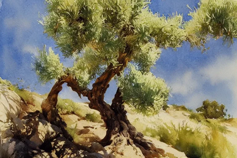 Image similar to watercolor painting of young olive tree in portugal, art by hans gude, art by hans dahl, by jesper ejsing, art by anders zorn, wonderful masterpiece by greg rutkowski, cinematic light, american romanticism by greg manchess, creation by tyler edlin