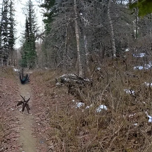 Prompt: trailcam footage of a skinny white wendigo in the distance hidden behing trees