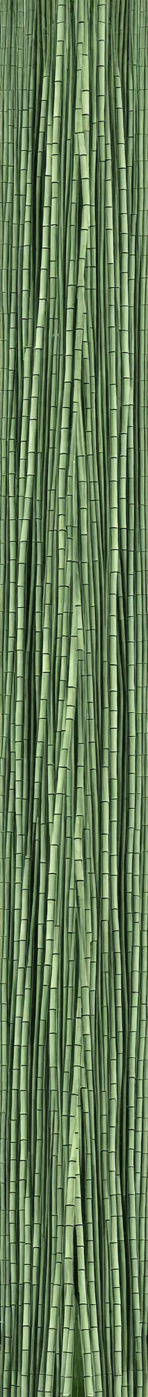 Prompt: bamboo