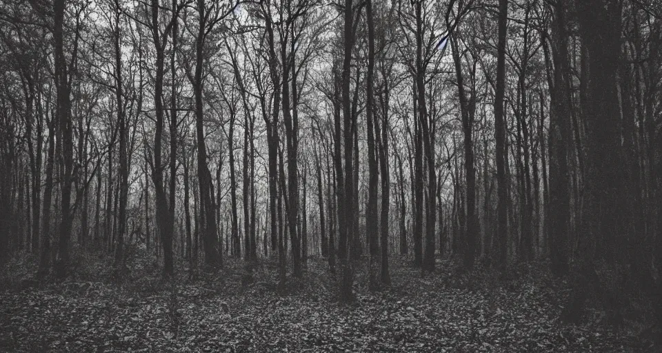 Image similar to photo taken in the middle of a spooky forest at night