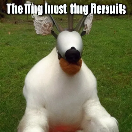 Image similar to the most random thing ever.