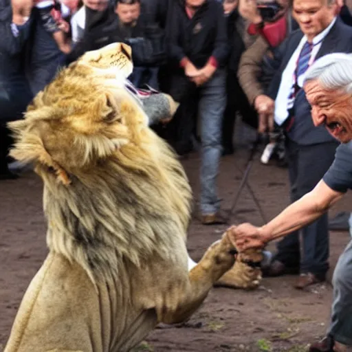 Image similar to amlo attacking a lion