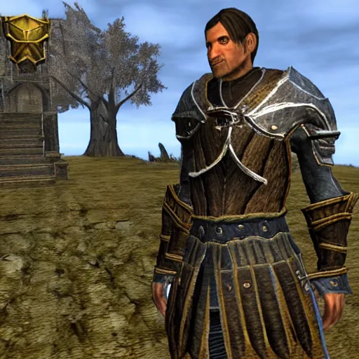 Image similar to in-game screenshot from The Elder Scrolls IV Oblivion