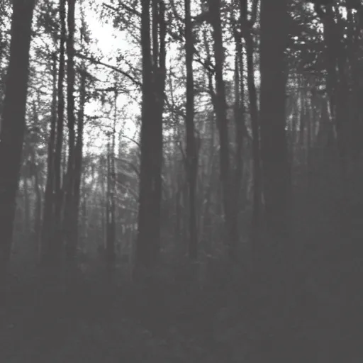 Image similar to grainy trail cam photo still of an alien in the woods at night hiding in the trees of a forest