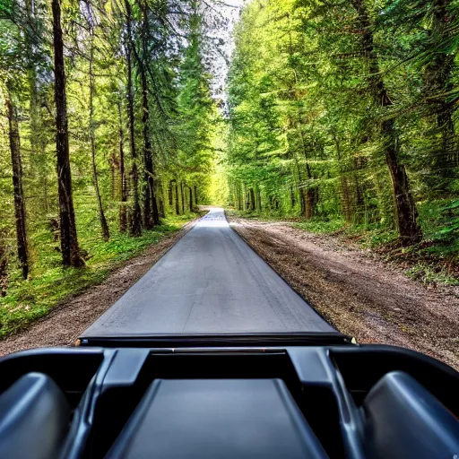 Image similar to a view from the driver side of a jeep wrangler in the woods, 4k, high detail, high-resolution photograph, professional photography, ultra-detail