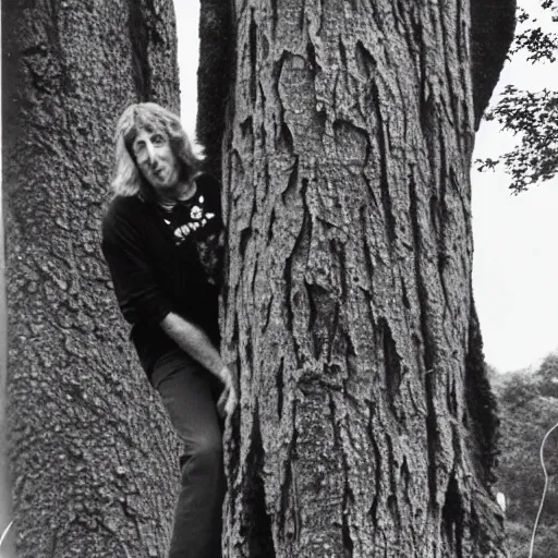 Image similar to steve hillage climbing a tree