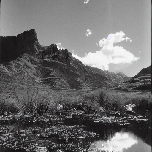 Image similar to a portrait of 2B in a scenic environment by ansel adams