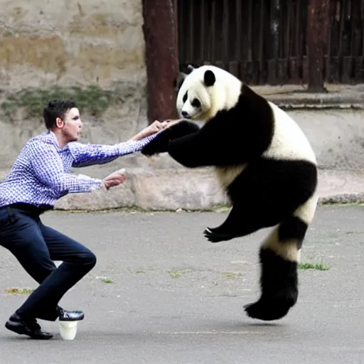 Image similar to An attractive French man kicked in the face by a panda