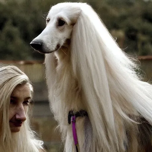 Prompt: borzoi judging wether someone should live or perish