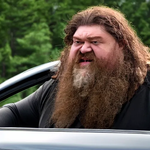 Image similar to hagrid driving seen from the front